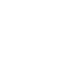Map Icon